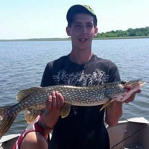 Meet your Posher, Paul